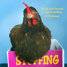 33,958-Chicken stuffing.jpg 33,958-Chicken stuffing.jpg