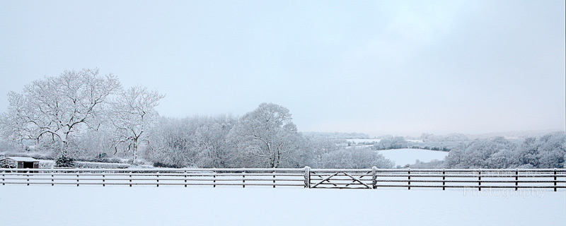 Snow Scene