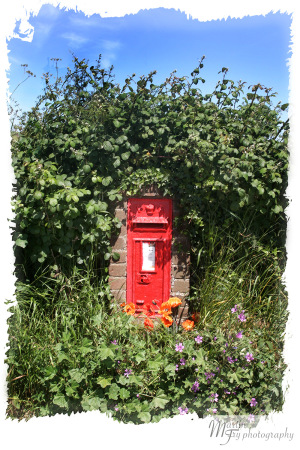 Letterbox