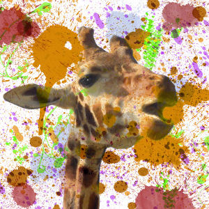 Paint Splattered Giraffe