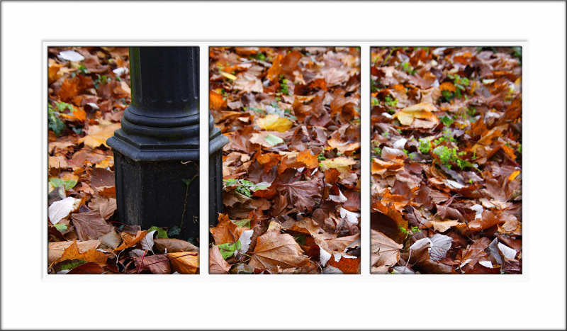 Autumn Triptych