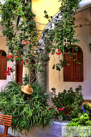 Arches & hat