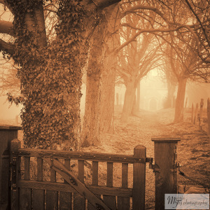 Church walk