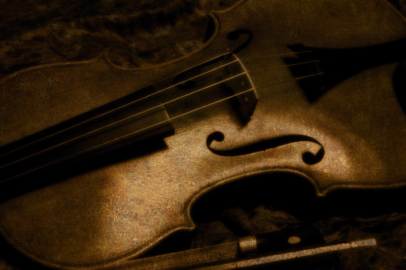Violin