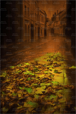 Street & leaves