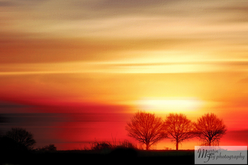 Sunset & trees