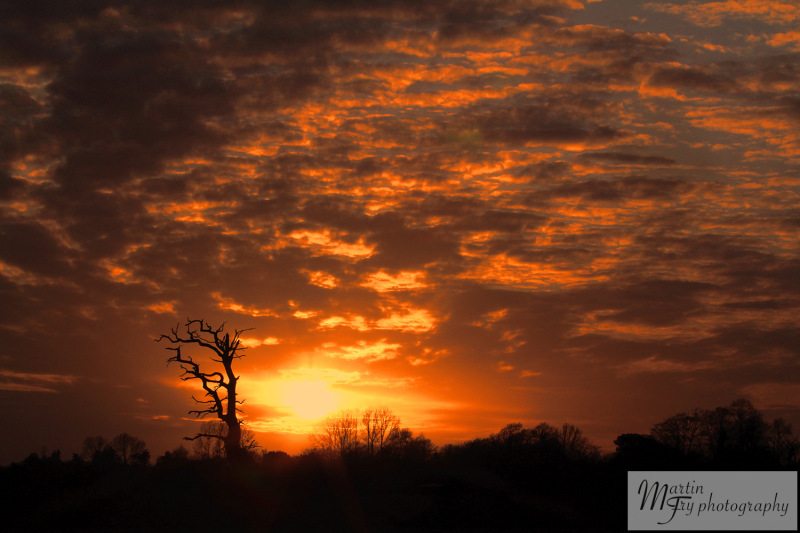 Sunset