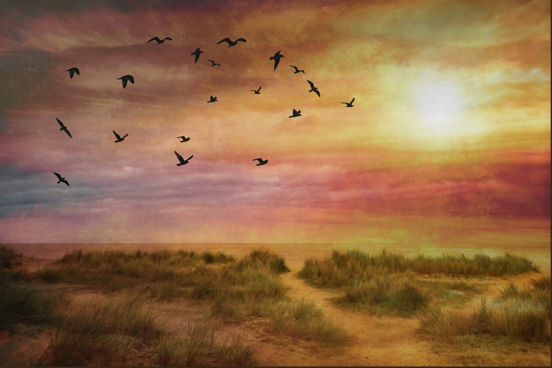 Evening Flight