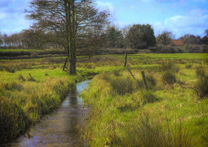 Meadow Stream