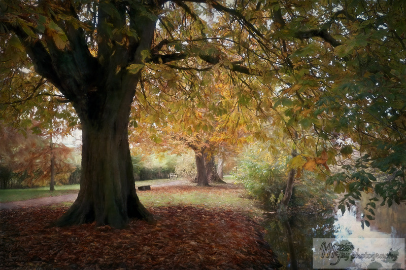 Autumn Walk