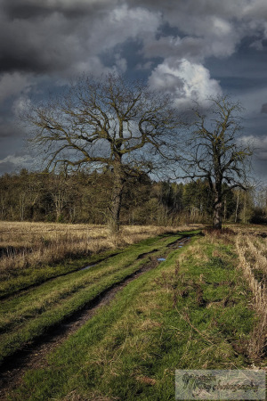 Farm Track