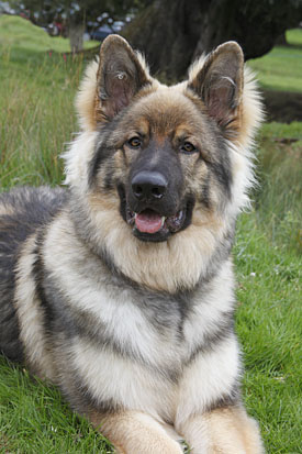 26,400-GSD.jpg 26,400-GSD.jpg