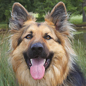 26,486-GSD-Paint.jpg 26,486-GSD-Paint.jpg