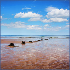 38,705-Seascape.jpg 38,705-Seascape.jpg
