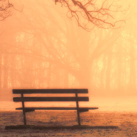 38,961-Misty bench.jpg 38,961-Misty bench.jpg