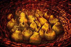 41,583-Still life-Pears.jpg 41,583-Still life-Pears.jpg